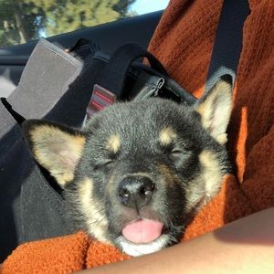 Meet your Posher, Christopher